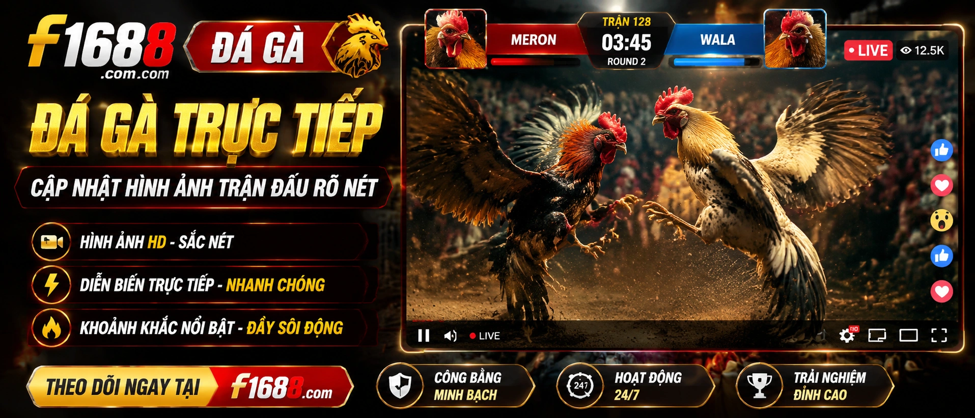 Đá Gà Trực Tiếp trên f1688