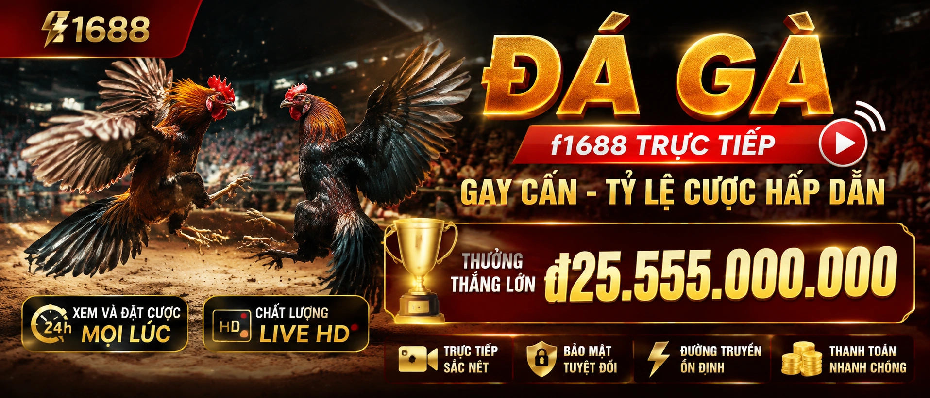 Đá Gà Campuchia trên f1688
